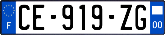 CE-919-ZG