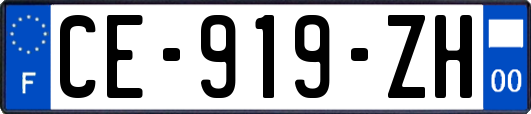 CE-919-ZH