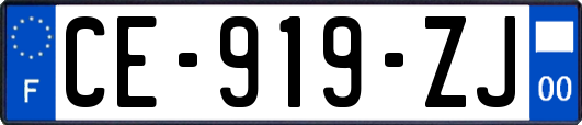 CE-919-ZJ