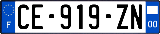 CE-919-ZN