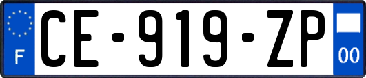 CE-919-ZP