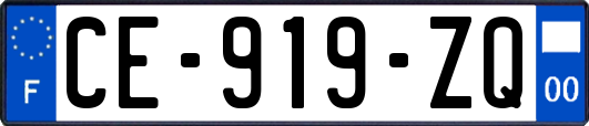 CE-919-ZQ