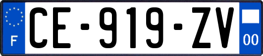 CE-919-ZV