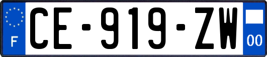 CE-919-ZW