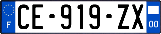 CE-919-ZX