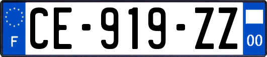 CE-919-ZZ