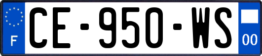 CE-950-WS