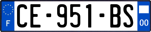 CE-951-BS