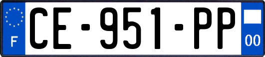 CE-951-PP