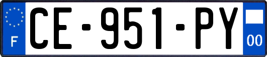 CE-951-PY