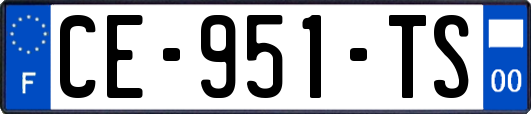 CE-951-TS