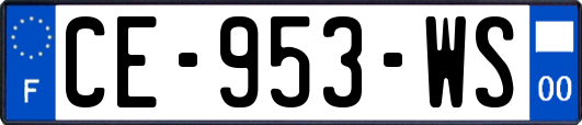 CE-953-WS