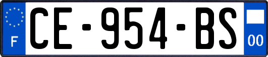 CE-954-BS