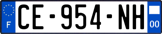 CE-954-NH