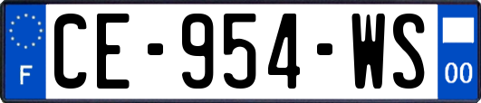 CE-954-WS