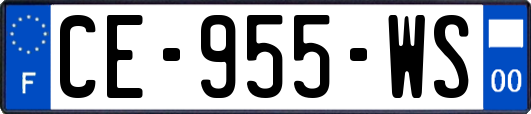 CE-955-WS