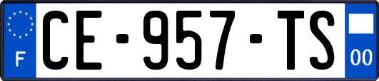 CE-957-TS