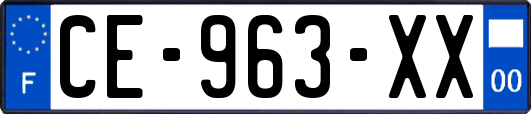 CE-963-XX