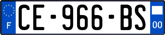 CE-966-BS