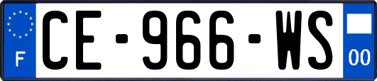 CE-966-WS