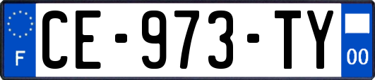 CE-973-TY