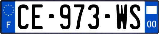 CE-973-WS