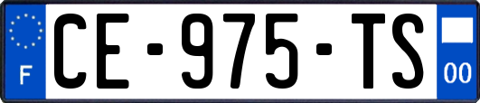 CE-975-TS