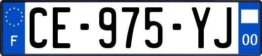 CE-975-YJ