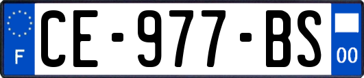 CE-977-BS