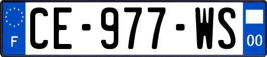 CE-977-WS