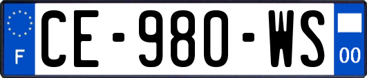 CE-980-WS