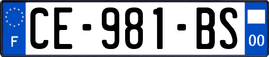 CE-981-BS