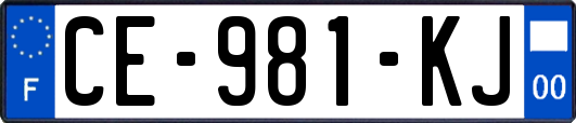 CE-981-KJ