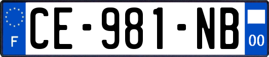 CE-981-NB