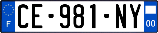 CE-981-NY