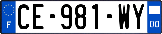 CE-981-WY