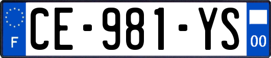 CE-981-YS