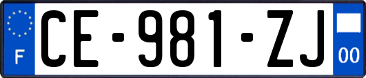 CE-981-ZJ