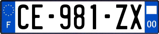 CE-981-ZX