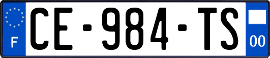 CE-984-TS