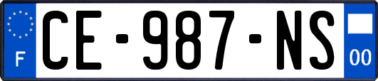 CE-987-NS