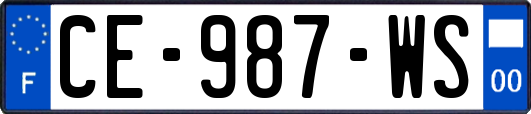 CE-987-WS