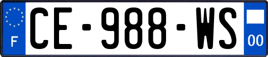 CE-988-WS