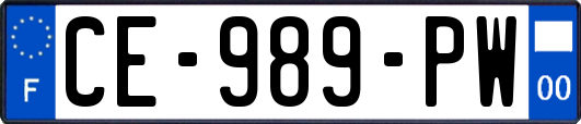 CE-989-PW
