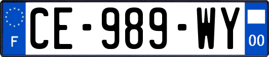 CE-989-WY