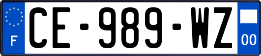 CE-989-WZ