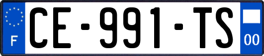 CE-991-TS