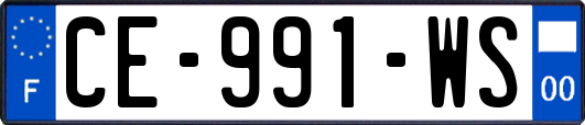 CE-991-WS