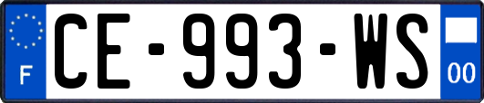 CE-993-WS