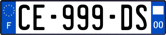 CE-999-DS
